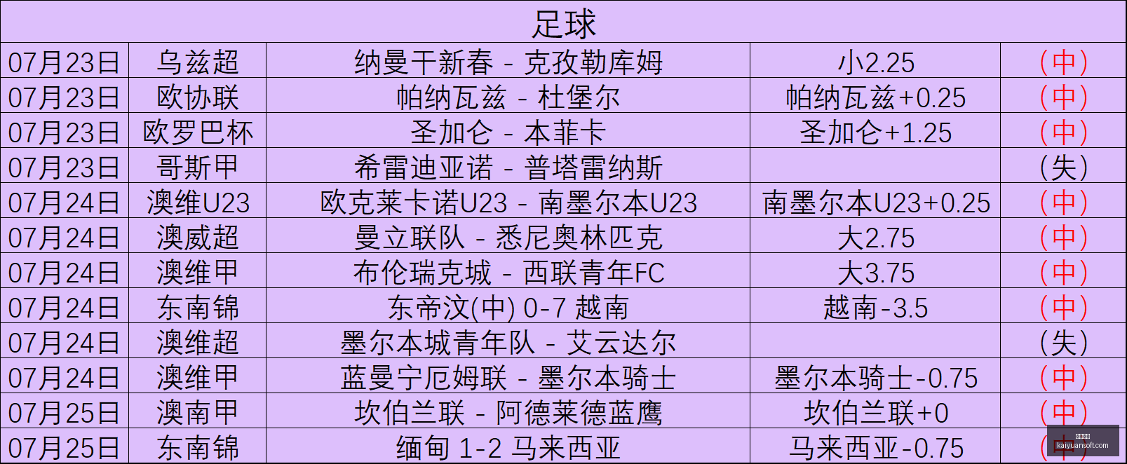 南美杯对决,希金斯激战,博卡青年,开元体育,开元体育官方网站,开元体育登录入口