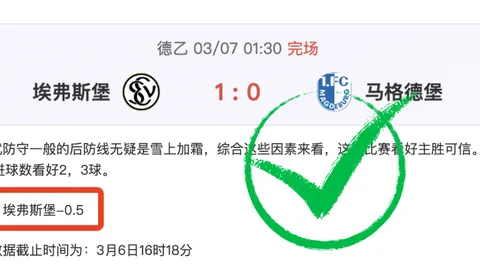拜仁内部冲突：赫內斯与圖赫爾矛盾浮现