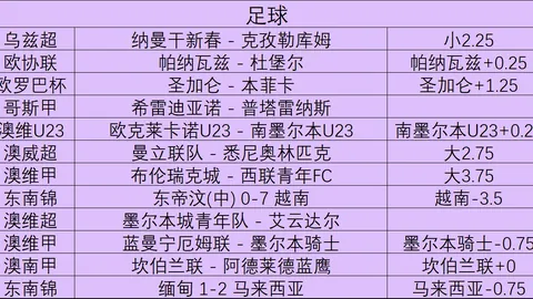 南美杯对决：希金斯激战博卡青年，独家解读